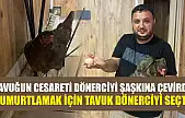 Tavuğun cesareti dönerciyi şaşkına çevirdi: Yumurtlamak için tavuk dönerciyi seçti