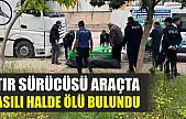 Tır sürücüsü araçta asılı halde ölü bulundu