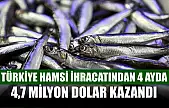 Türkiye hamsi ihracatından 4 ayda 4,7 milyon dolar kazandı