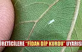 Üreticilere 'Fidan dip kurdu' uyarısı