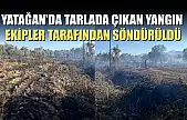 Yatağan'da tarlada çıkan yangın ekipler tarafından söndürüldü
