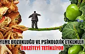 Yeme bozukluğu ve psikolojik etkenler obeziteyi tetikliyor