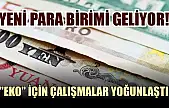 Yeni para birimi geliyor! 'Eko' için çalışmalar yoğunlaştı