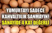 Yumurtayı sadece kahvaltılık sanmayın! Sanayide 4 kat değerli