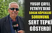 Yusuf Çaylı, Fethiye'deki sokak köpekleri sorununa sert tepki gösterdi