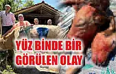 Yüz binde bir görülen olay