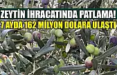 Zeytin ihracatında patlama! 7 ayda 162 milyon dolara ulaştı