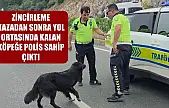 Zincirleme kazadan sonra yol ortasında kalan köpeğe polis sahip çıktı