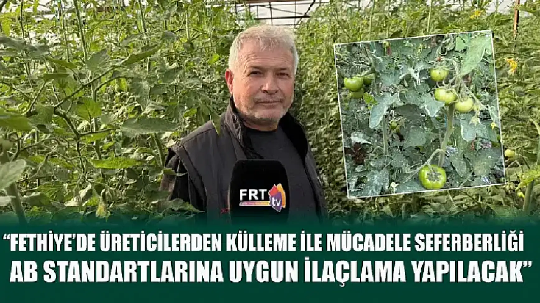 Fethiyede üreticilerden külleme ile mücadele seferberliği:AB Standartlarına uygun ilaçlama yapılacak
