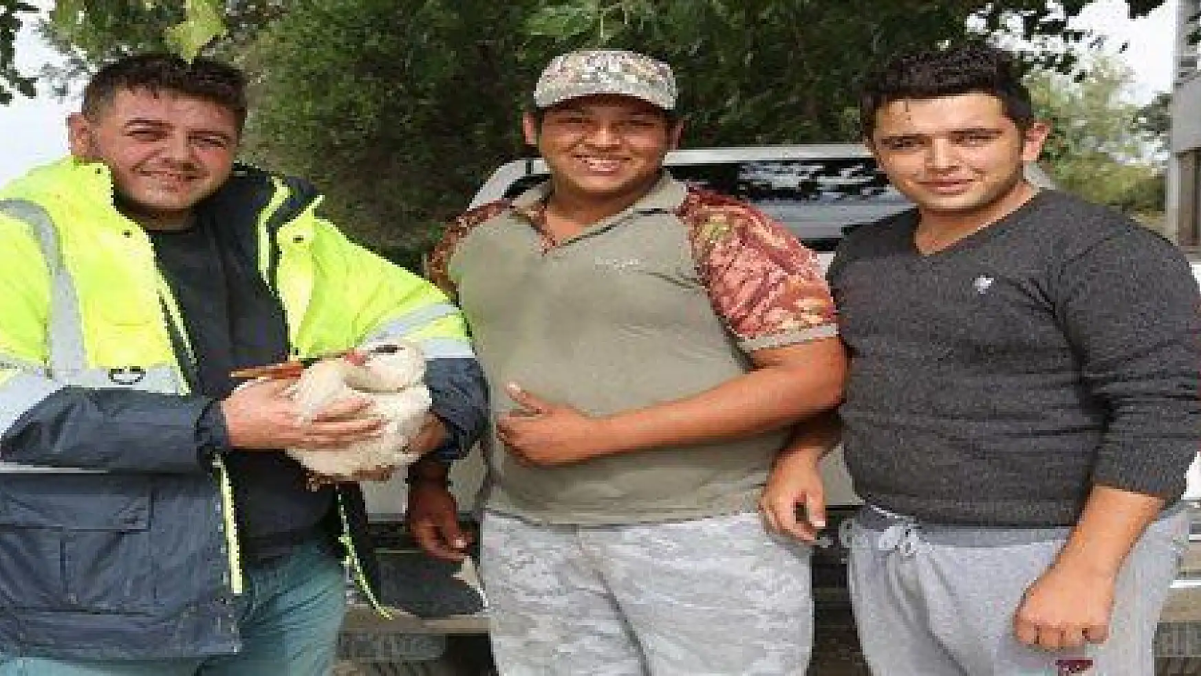 Milas'ta yaralı leylek korumaya alındı