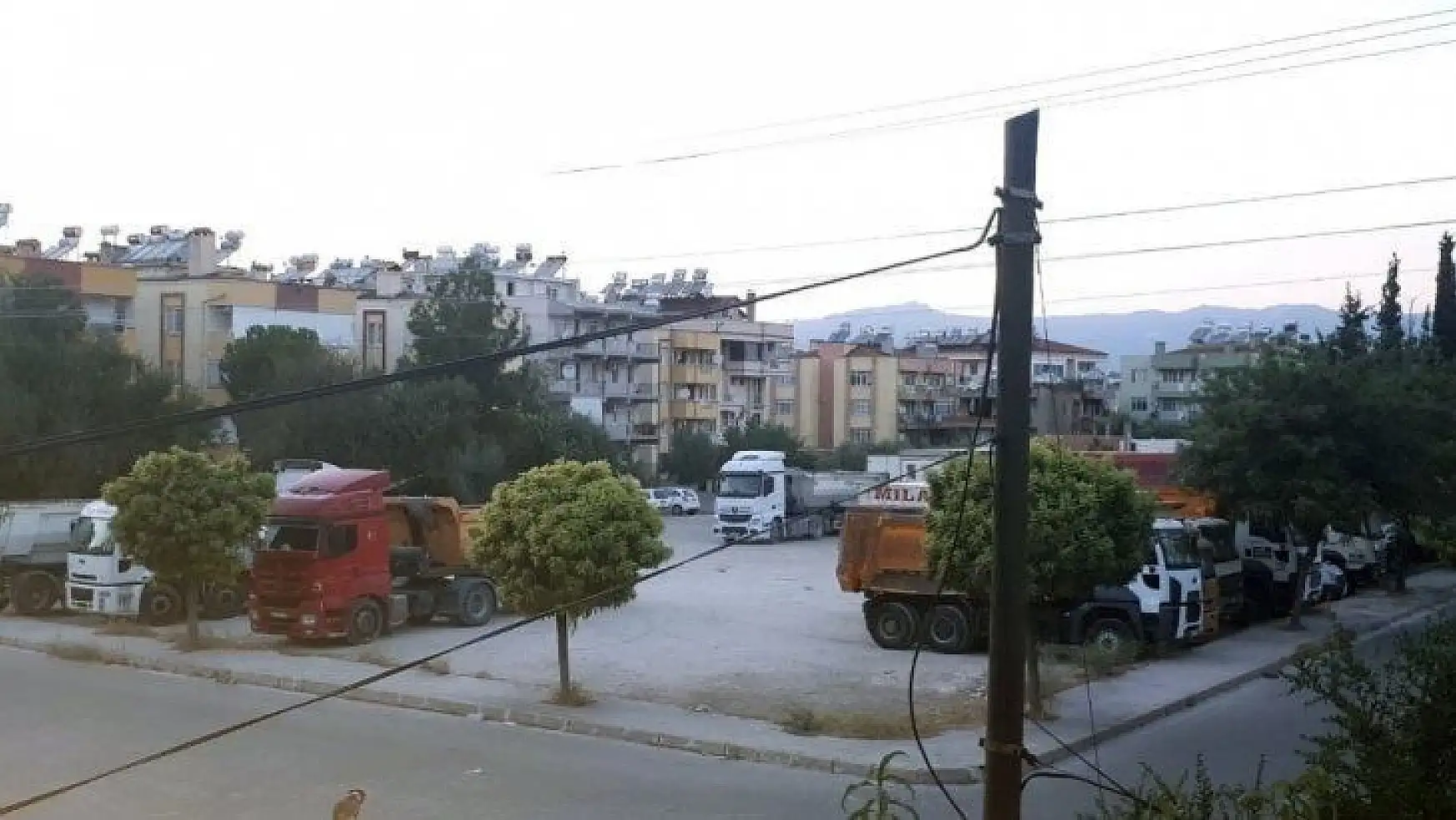 Ahmet Gazi Caddesi sakinleri, Milas Belediyesi'nin yeşil alanı korumasını istedi