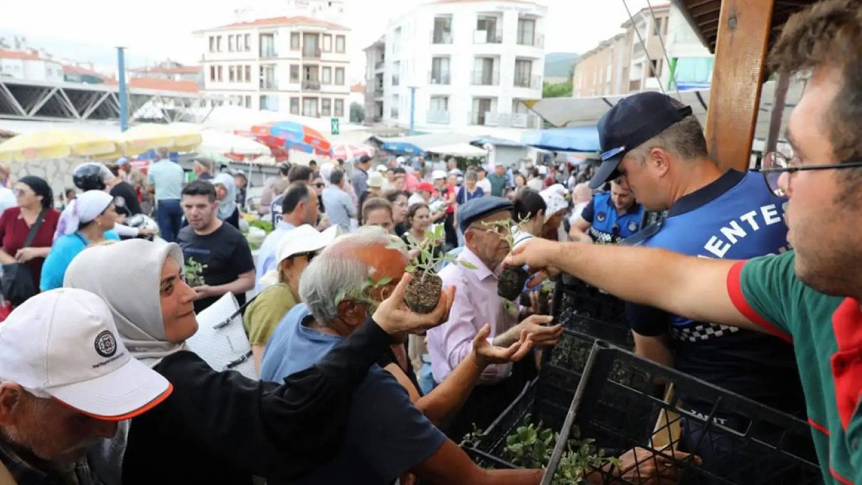 Belediye 10 bin sebze fidesi dağıttı