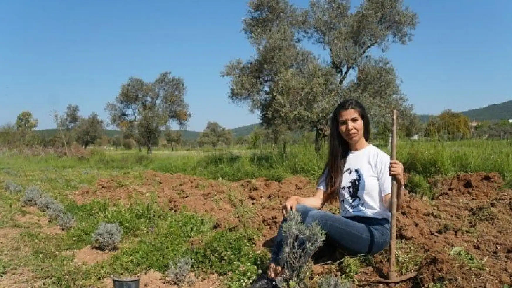 Genç kadın girişimci ailesinin boş arazisini lavanta bahçesine çevirdi