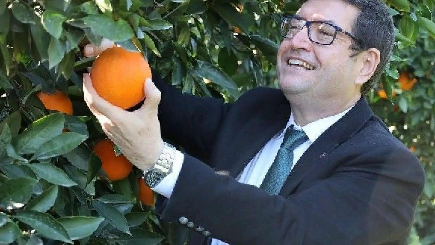 Köyceğiz portakalının farklılıkları raporlandı