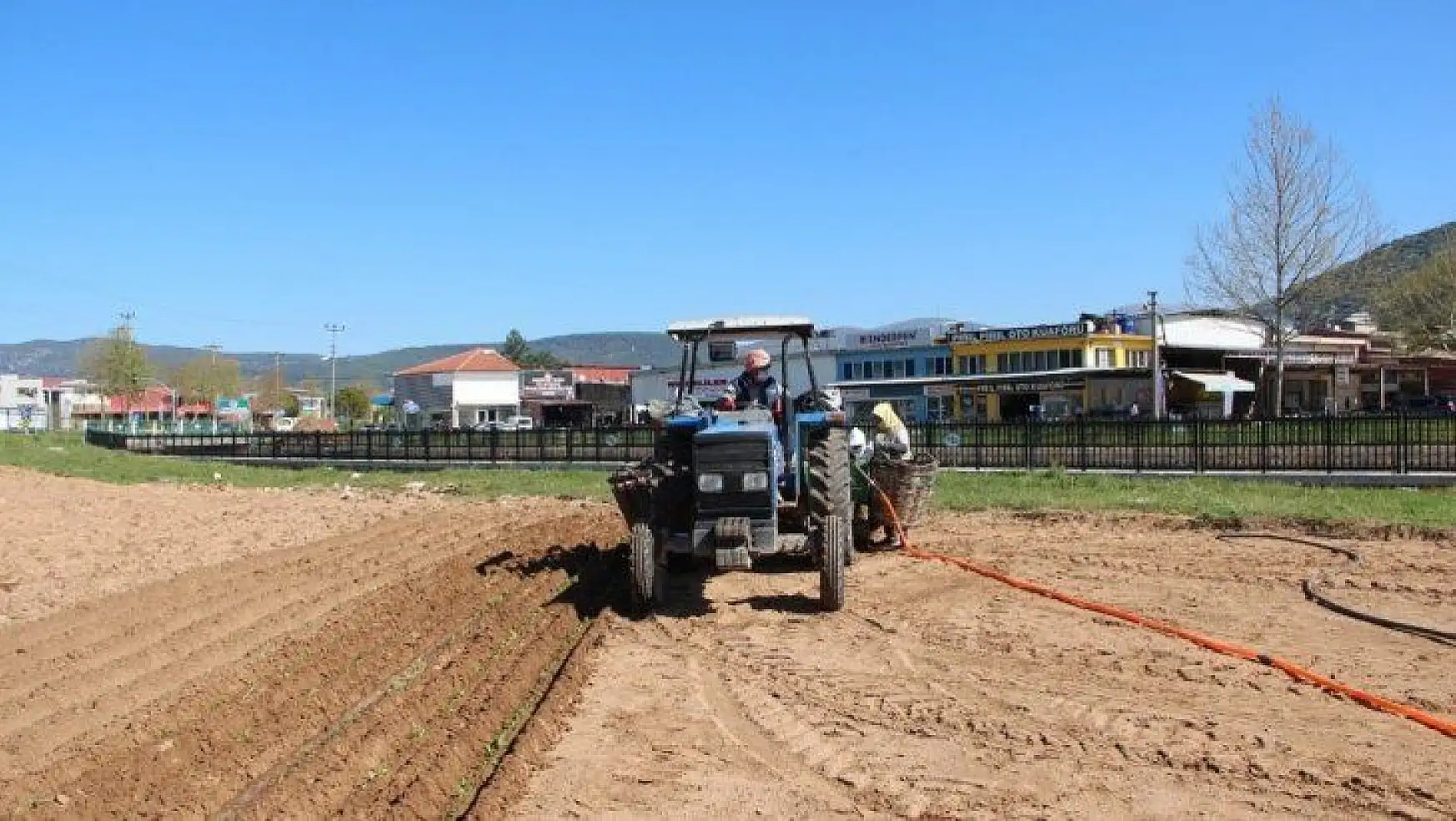 Muğla'da tarımsal faaliyetler devam ediyor
