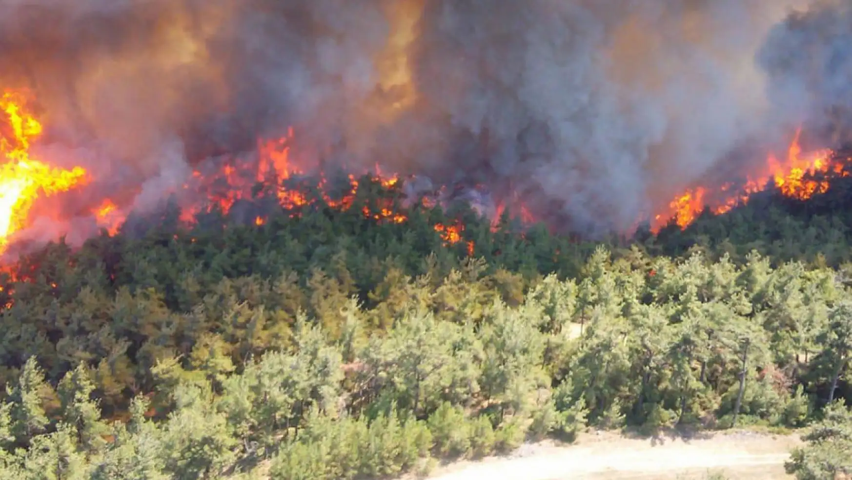 Orman yangınlarıyla ilgili toplam 7 şüpheli tespit edildi