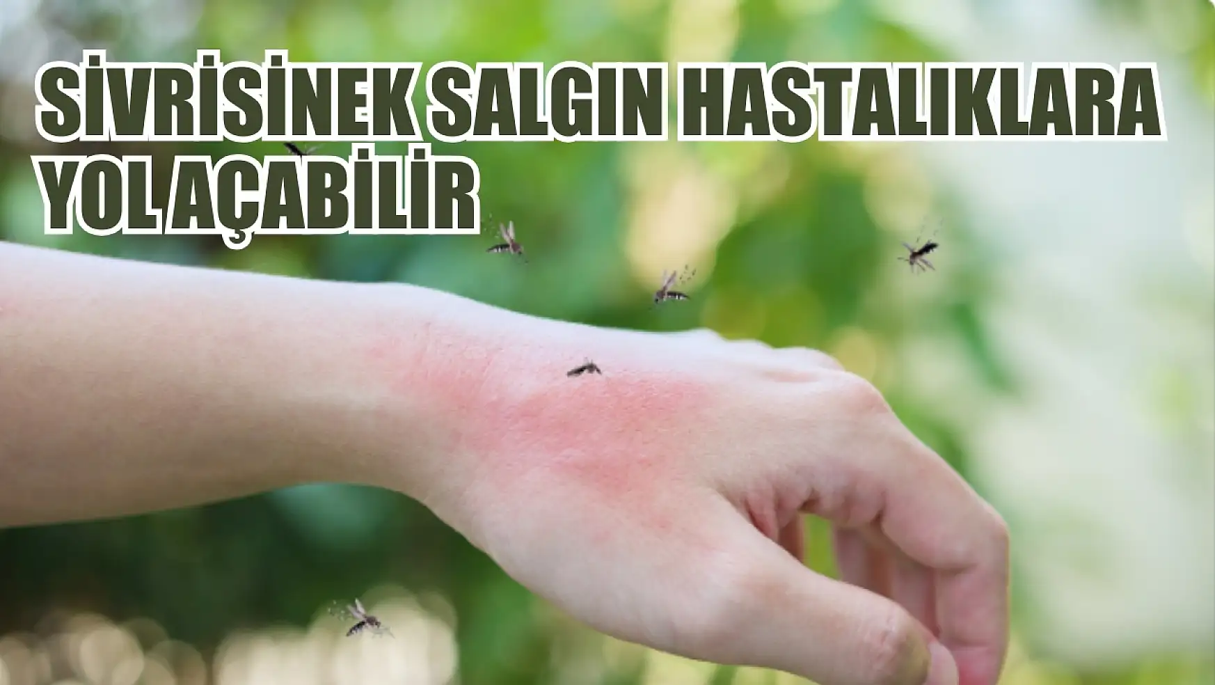 Prof Dr. Taşova: 'Sivrisinek salgın hastalıklara yol açabilir'