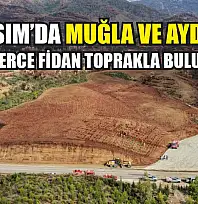 11 Kasım'da Muğla ve Aydın'da on binlerce fidan toprakla buluşacak