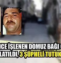 19 yıl önce işlenen domuz bağı cinayeti aydınlatıldı, 3 şüpheli tutuklandı