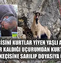 3 keçisini kurtlar yiyen yaşlı adam, mahsur kaldığı uçurumdan kurtarılan son keçisine sarılıp doyasıya öptü