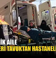 3 kişilik aile yedikleri tavuktan hastanelik oldu