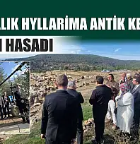 4 bin yıllık Hyllarima Antik Kentinde Zeytin hasadı