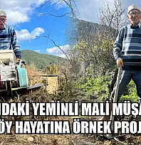 82 yaşındaki yeminli mali müşavirden köy hayatına örnek proje