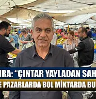 Adem Hıra: 'Çıntar yayladan sahile indi, Fethiye'de pazarlarda bol miktarda bulunuyor'