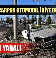 Ağaca çarpan otomobil ikiye bölündü: 2 ölü 1 yaralı