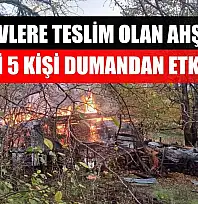 Alevlere teslim olan ahşap evdeki 5 kişi dumandan etkilendi
