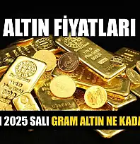 Altın fiyatları: 25 Kasım 2025 Salı gram altın ne kadar oldu?