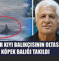 Amatör kıyı balıkçısının oltasına köpek balığı takıldı