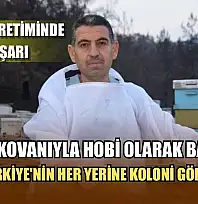 Ana arı üretiminde büyük başarı: Bir arı kovanıyla hobi olarak başladı, şimdi Türkiye'nin her yerine koloni gönderiyor