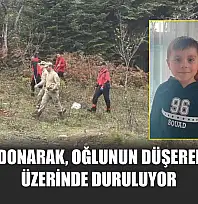 Annenin donarak, oğlunun düşerek öldüğü üzerinde duruluyor
