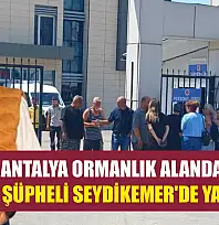 Antalya Ormanlık Alanda Cinayet: Şüpheli Seydikemer'de Yakalandı