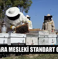 Arıcılara mesleki standart geliyor
