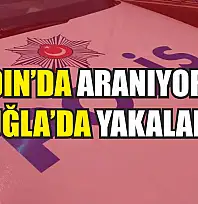 Aydın'da aranıyordu, Muğla'da yakalandı