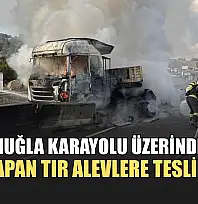 Aydın-Muğla karayolu üzerinde kaza yapan tır alevlere teslim oldu