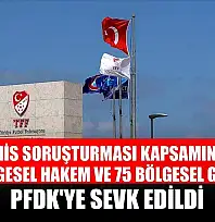 Bahis soruşturması kapsamında 353 bölgesel hakem ve 75 bölgesel gözlemci, PFDK'ye sevk edildi