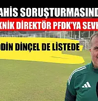 Bahis Soruşturmasında 108 Teknik Direktör PFDK'ya Sevk Edildi: Selahaddin Dinçel de Listede