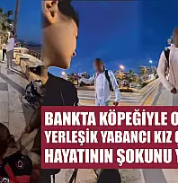 Bankta köpeğiyle oturan yerleşik yabancı kız çocuğu hayatının şokunu yaşadı