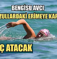 Bengisu Avcı 'buzullardaki erimeye karşı' kulaç atacak