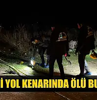 Bir kişi yol kenarında ölü bulundu