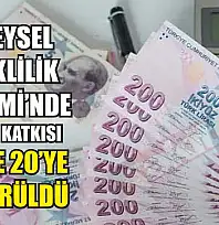 Bireysel Emeklilik Sistemi'nde devlet katkısı yüzde 20'ye düşürüldü