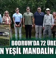 Bodrum'da 72 üreticiden 55 ton yeşil mandalin alındı