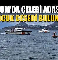 Bodrum'da Çelebi Adası'nda çocuk cesedi bulundu