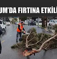 Bodrum'da fırtına etkili oldu