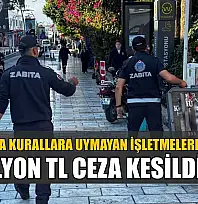 Bodrum'da kurallara uymayan işletmelere 21 milyon TL ceza kesildi