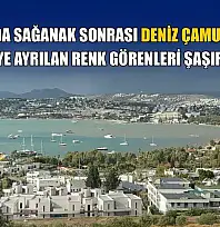 Bodrum'da sağanak sonrası deniz çamura döndü, ikiye ayrılan renk görenleri şaşırttı