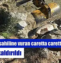 Bodrum sahiline vuran caretta caretta vinçle kaldırıldı